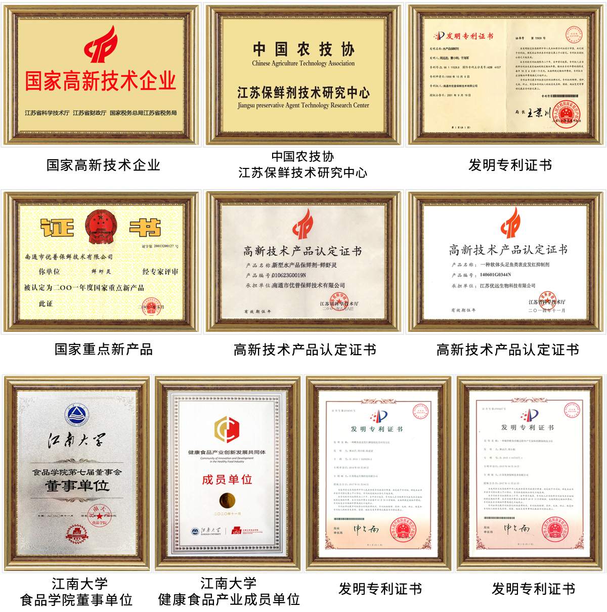 荣誉内页带框版本-高清图.jpg
