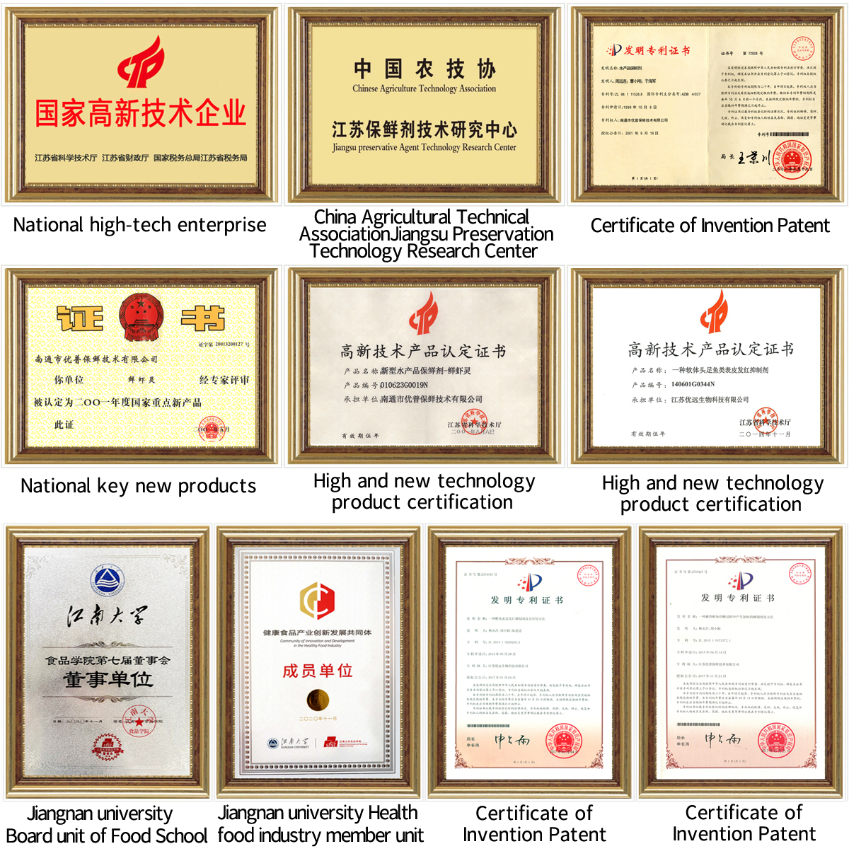 荣誉内页带框版本-高清图E.jpg