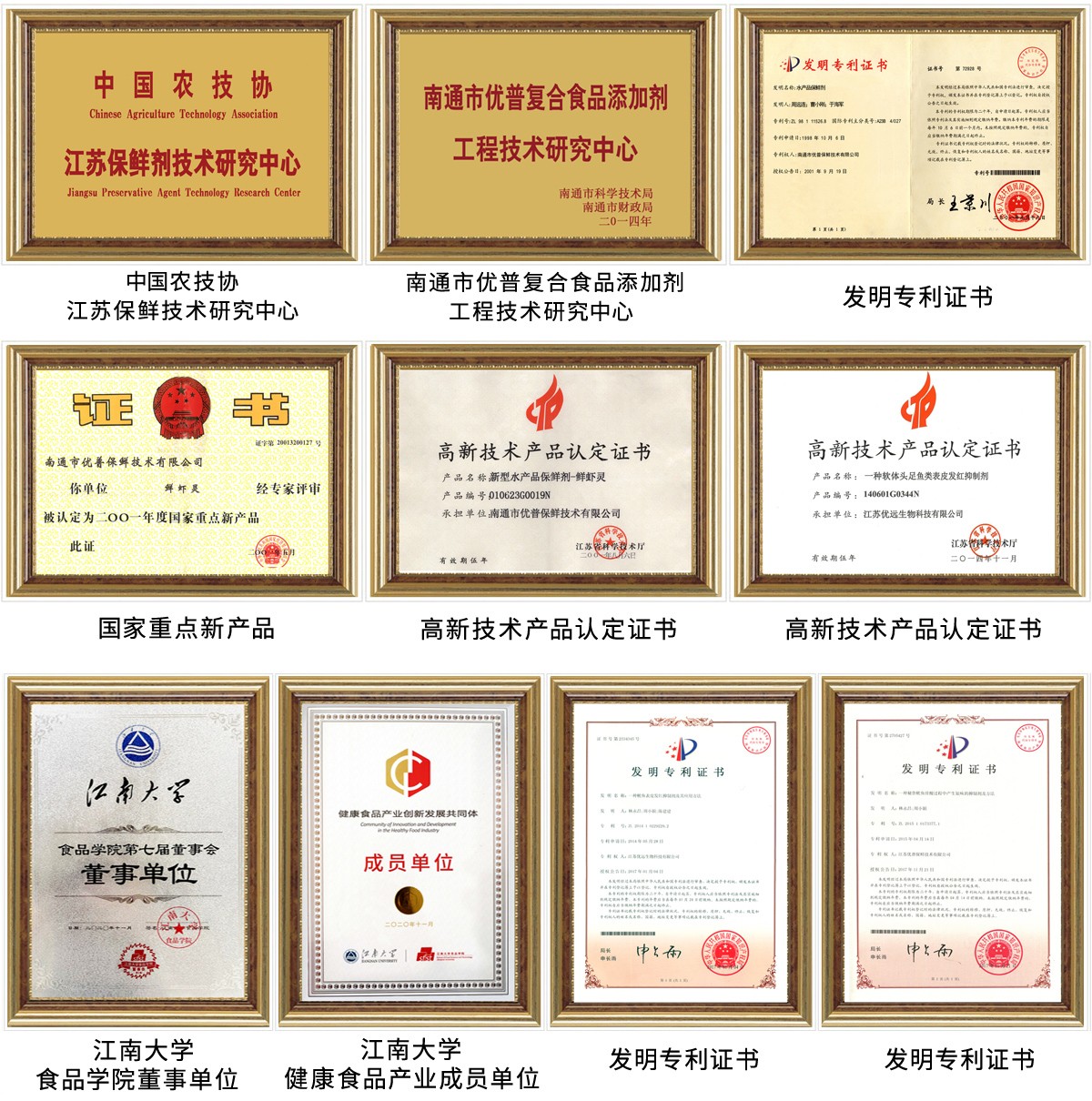 荣誉内页带框版本-高清图.jpg